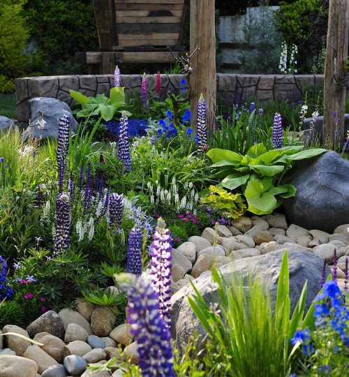 garden, yard, courtyard-5085324.jpg